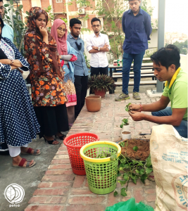 Ujjal Debnath is demostrating sustainable planting.